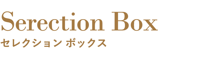 Serection Box セレクション ボックス