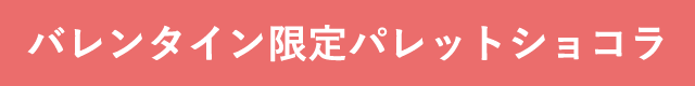 バレンタイン限定パレットショコラ