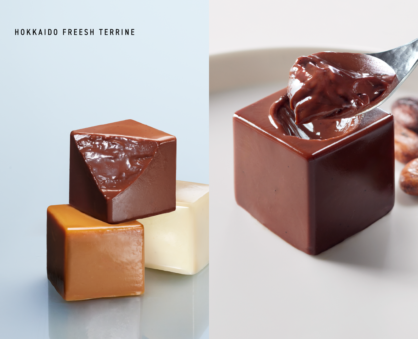 北海道生テリーヌ